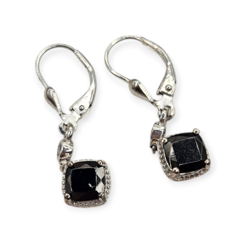 Shungite Earrings